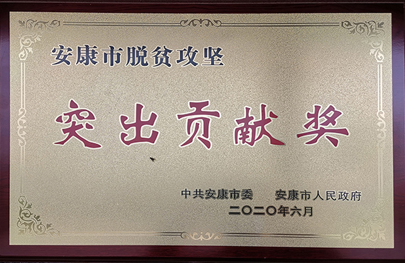 突出贡献奖