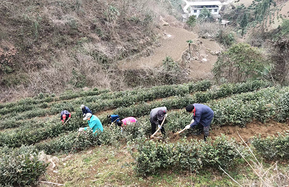 园区照片