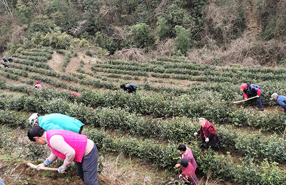 园区照片