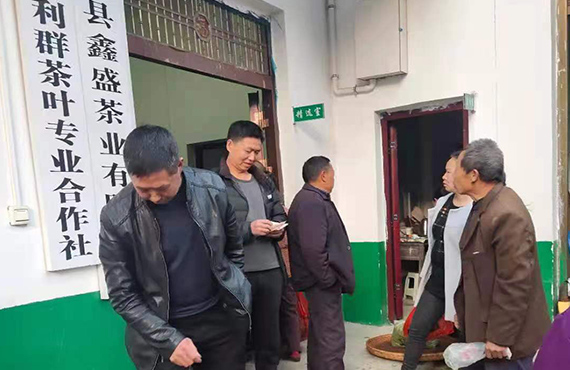 园区照片