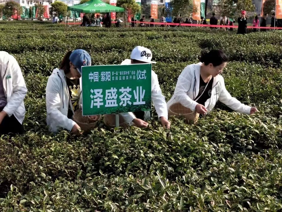 紫阳县泽盛生态农业有限公司