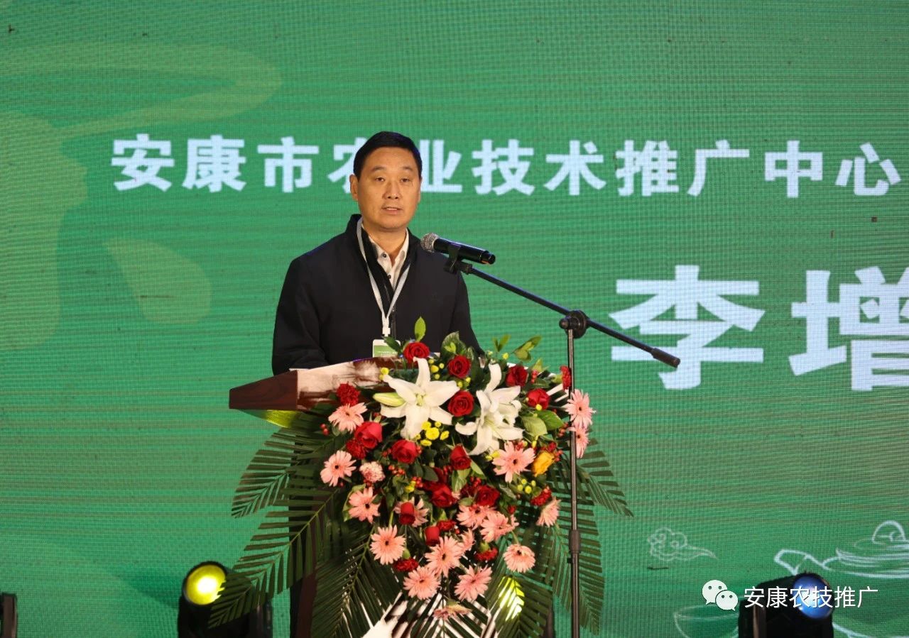 安康富硒茶亮相2023首届中国榆林茶文化博览会