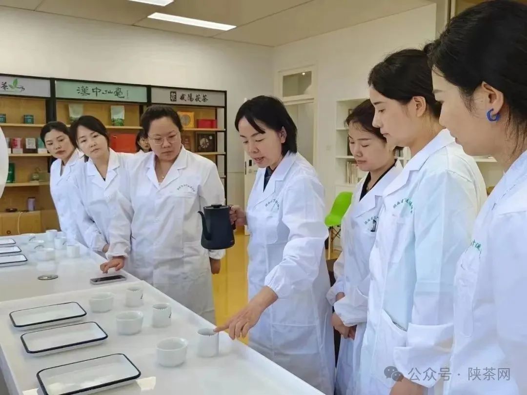【职业技能】陕西省茶叶流通协会启动2024下半年茶艺师、评茶师职业技能等级培训认定工作