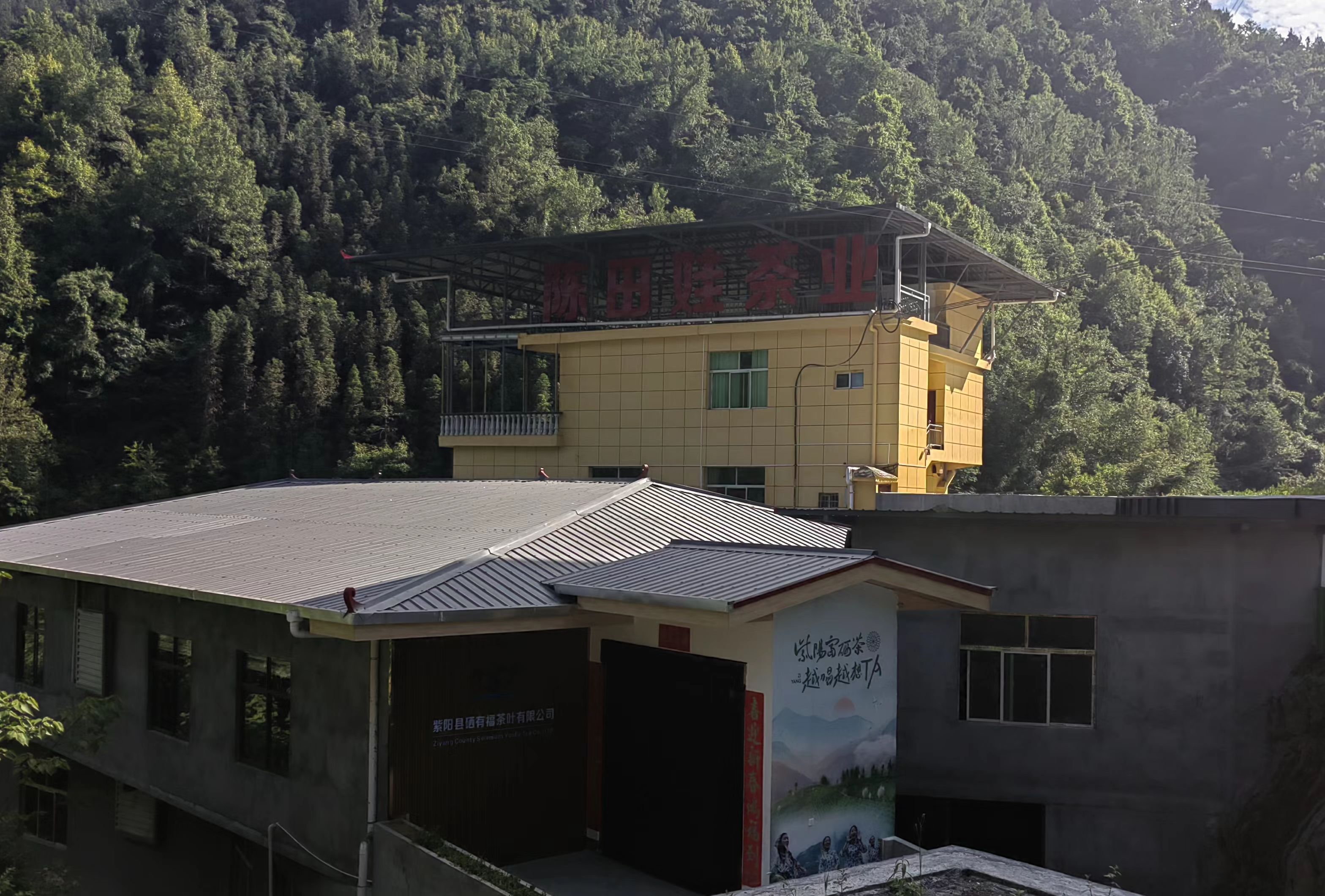 紫阳县硒有福茶叶有限公司