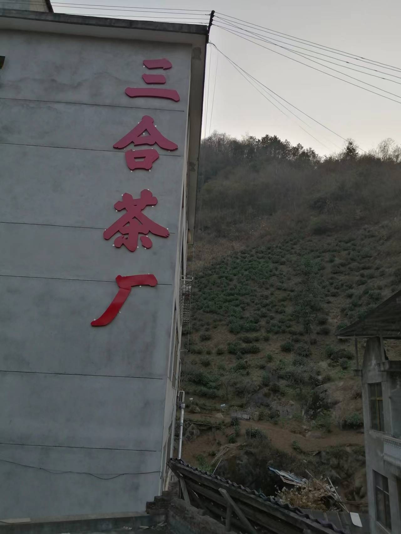 紫阳县曹孝宽紫茗茶厂