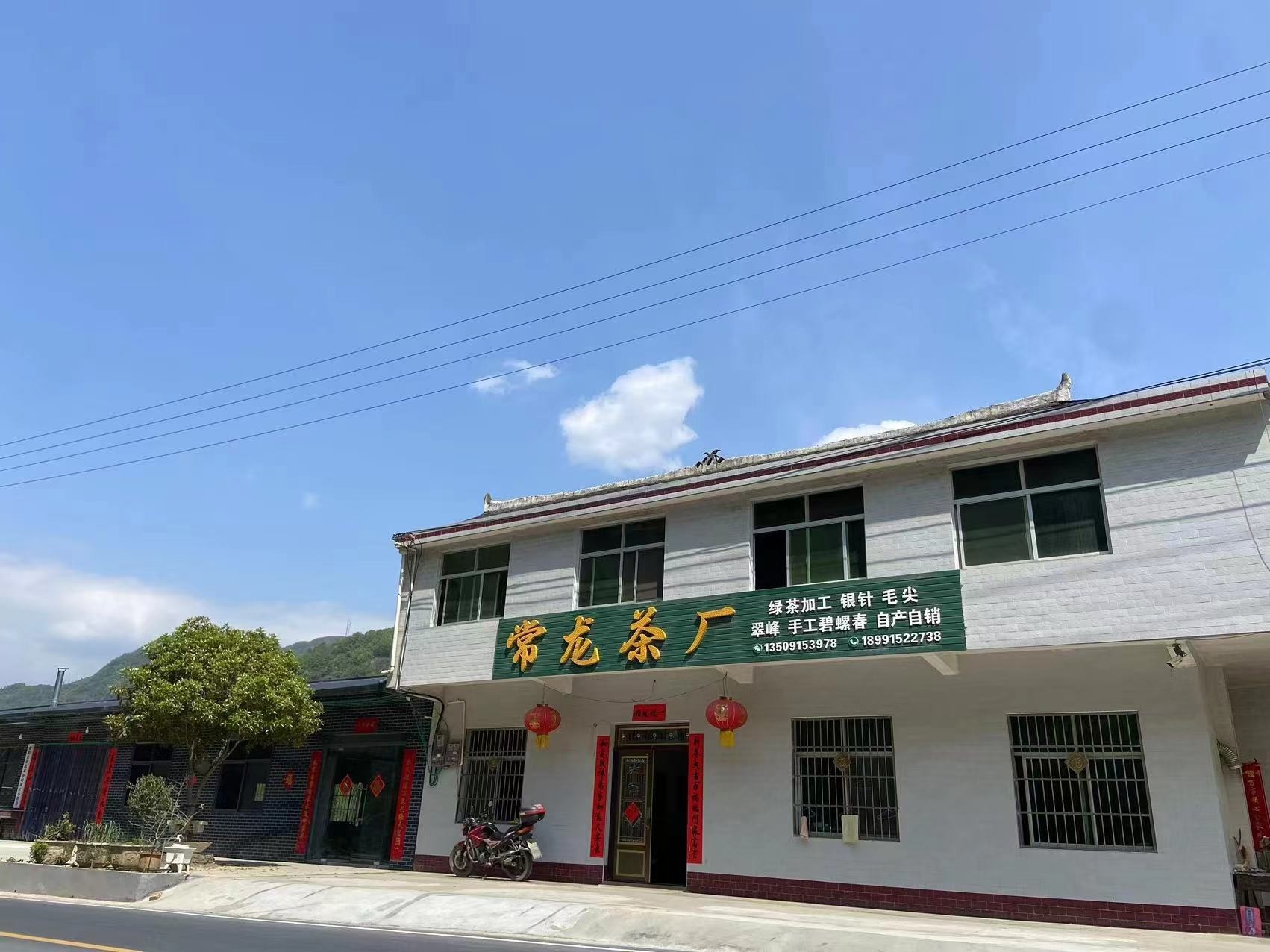 紫阳县浓菊茶厂