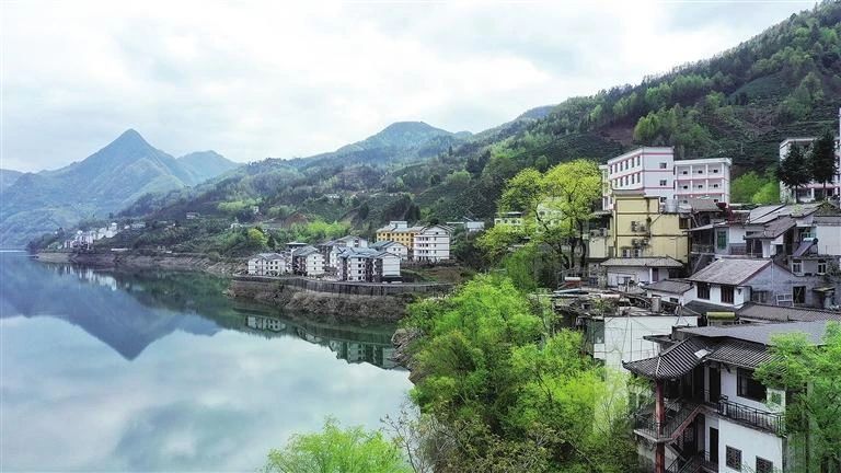 紫阳县焕古镇：茶香氤氲飘古今