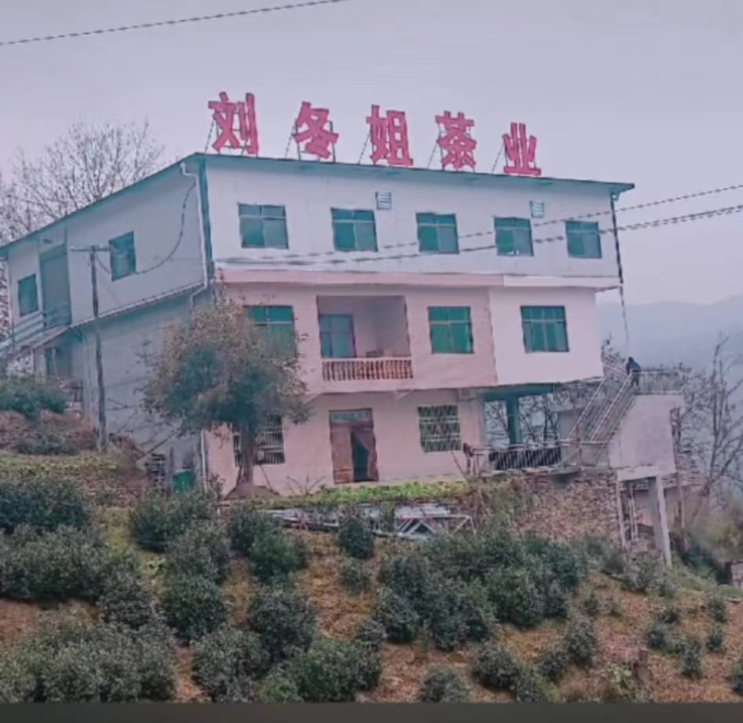 紫阳县刘冬姐茶业有限公司