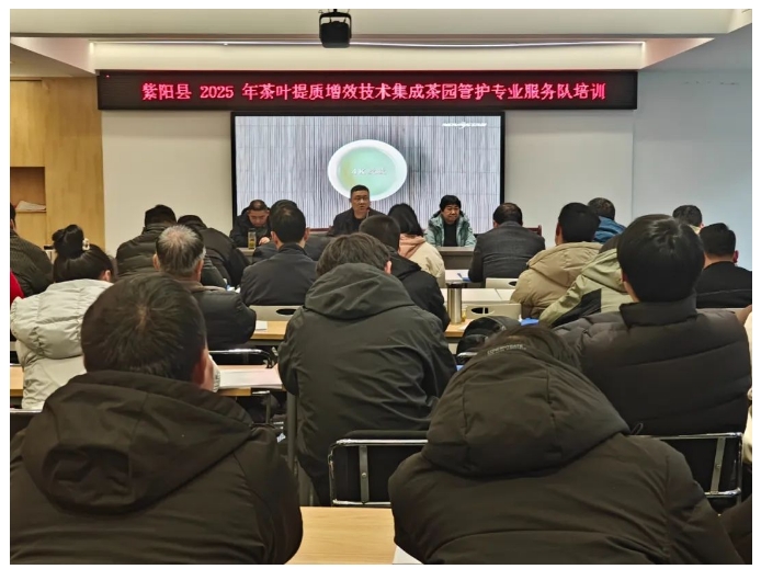 紫阳县2025年茶叶提质增效技术集成茶园管护专业服务队培训班成功举办