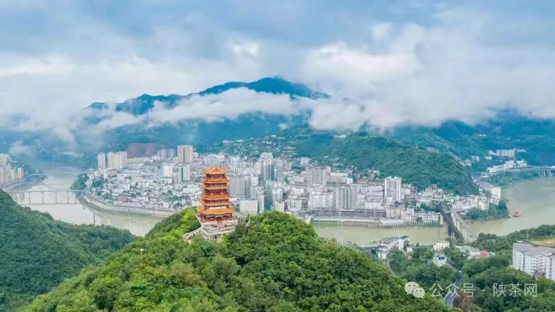 紫阳打造茶旅融合的示范点和会客厅