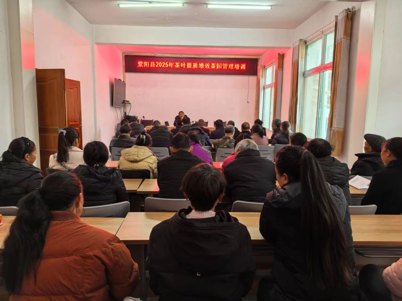 春茶管护有妙招，提质增效步步高