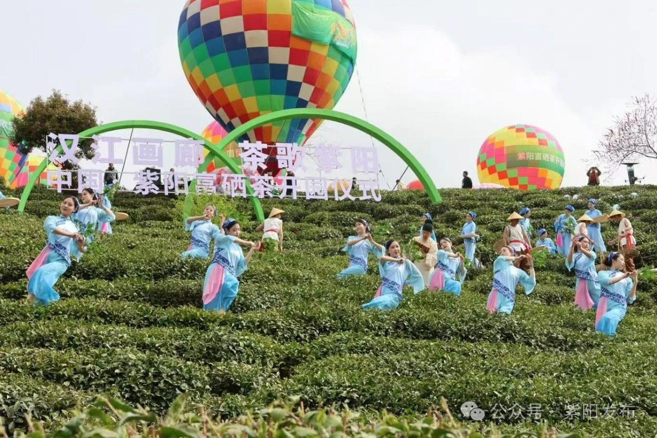陕西紫阳26万亩富硒茶开园 穆世超秘书长应邀参加系列活动