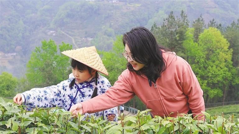 陕西日报：茶旅融合香更浓