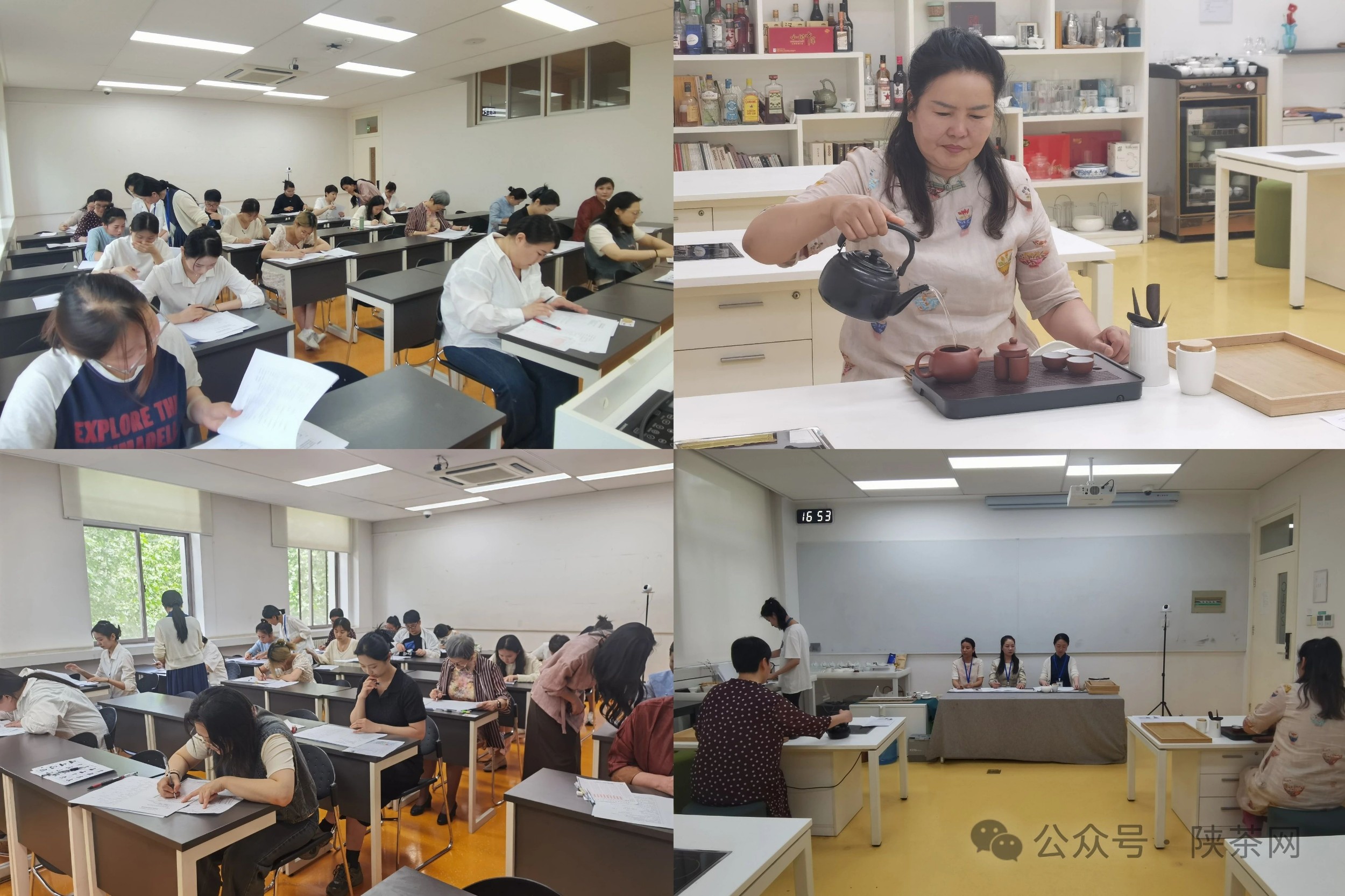 【职业技能】陕西省茶叶流通协会开展茶艺师职业技能等级认定工作