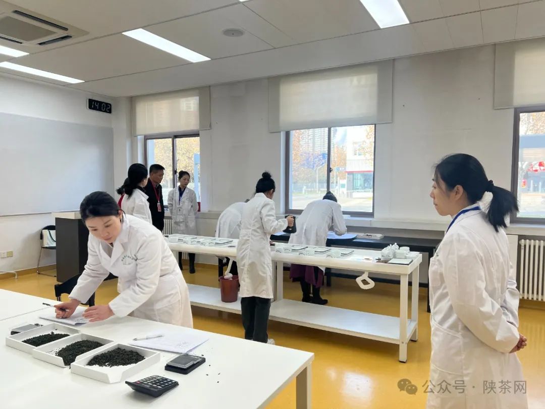 【技能评价】陕西省茶叶流通协会将于6月份开展2025年首期评茶师职业技能等级评价工作