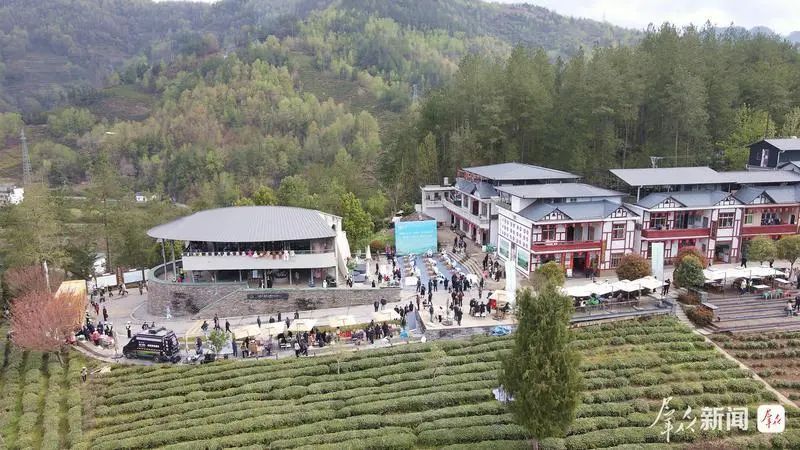 紫阳：茶文旅成功融合的“密码”