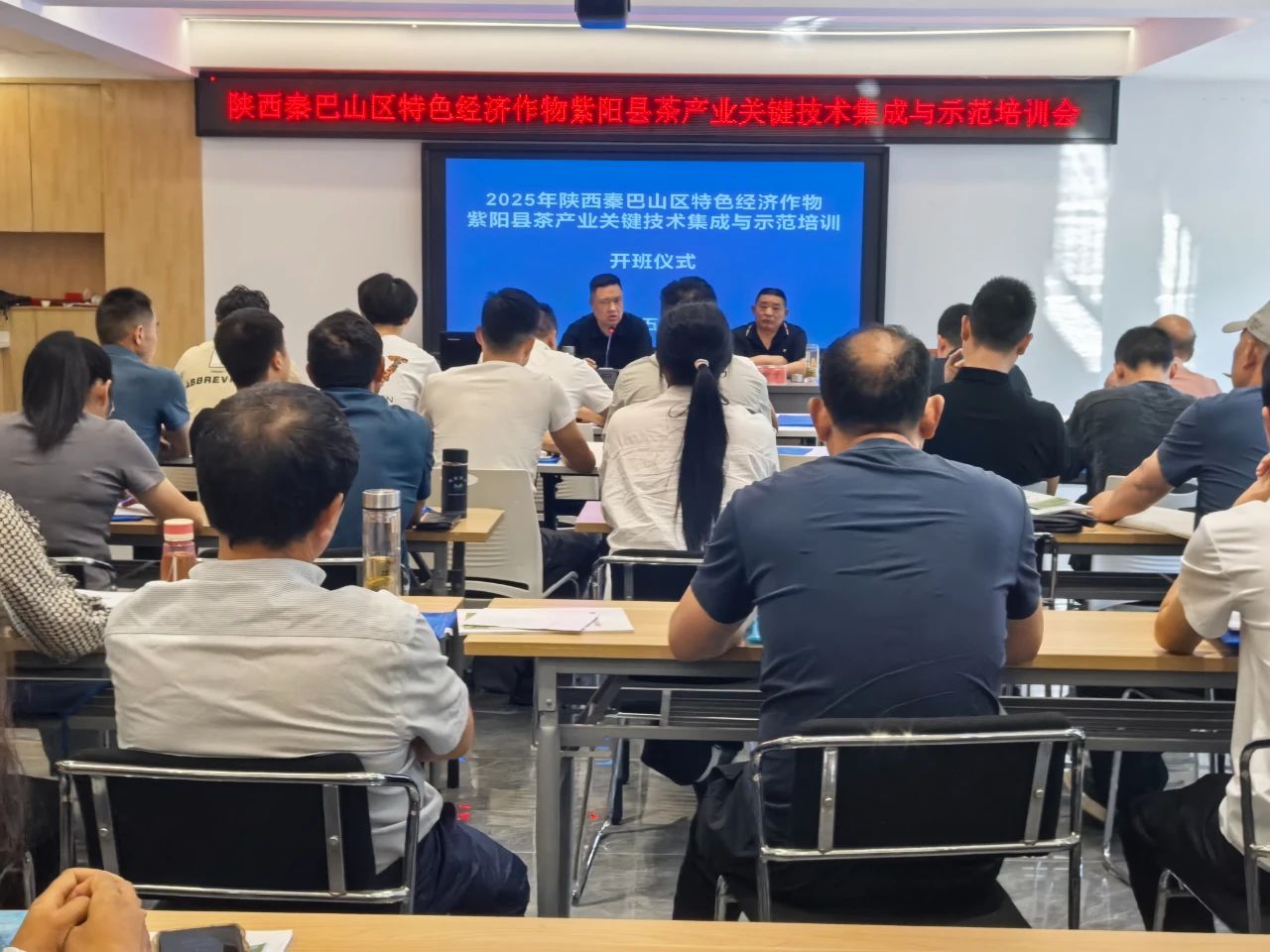 紫阳县成功举办2025年茶产业关键技术集成与示范培训班