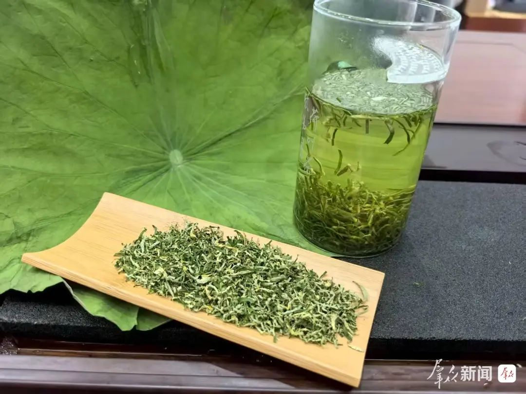 紫阳荷叶茶通过国家SC认证