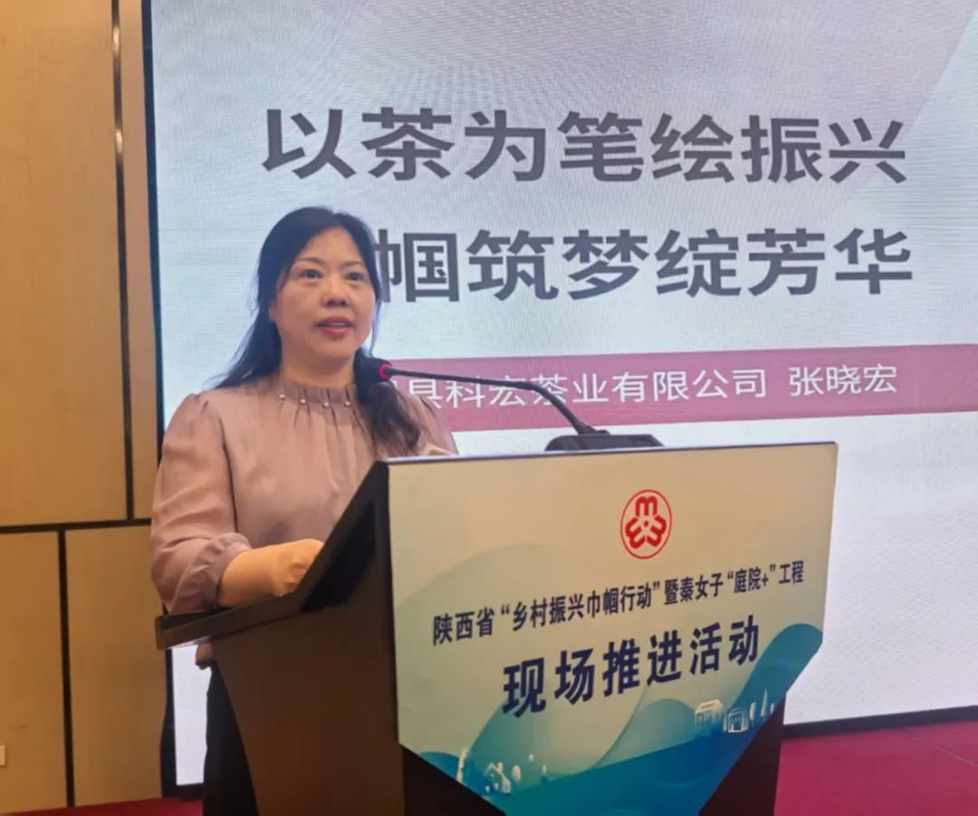 一片茶叶里的坚守与温度——记紫阳茶人张晓宏与她的“茶香致富路”