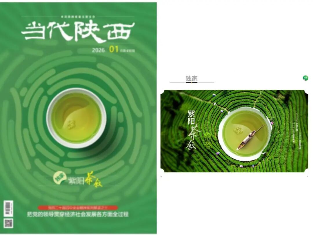 《当代陕西》| 系列报道紫阳富硒茶产业③ 一个品牌的&ldquo;百家争&lsquo;茗&rsquo;&rdquo;