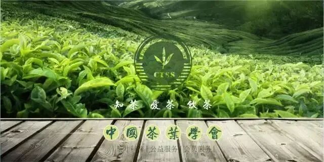 【会员动态】秦巴茶香,相约大湾区——镇巴隆升茶业亮相2026年全国“土特产”推介产销盛会