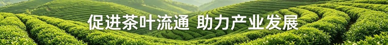 安康:张小平在调研抹茶产业发展工作时强调 立足资源禀赋 发挥比较优势 聚力推动抹茶产业高质量发展